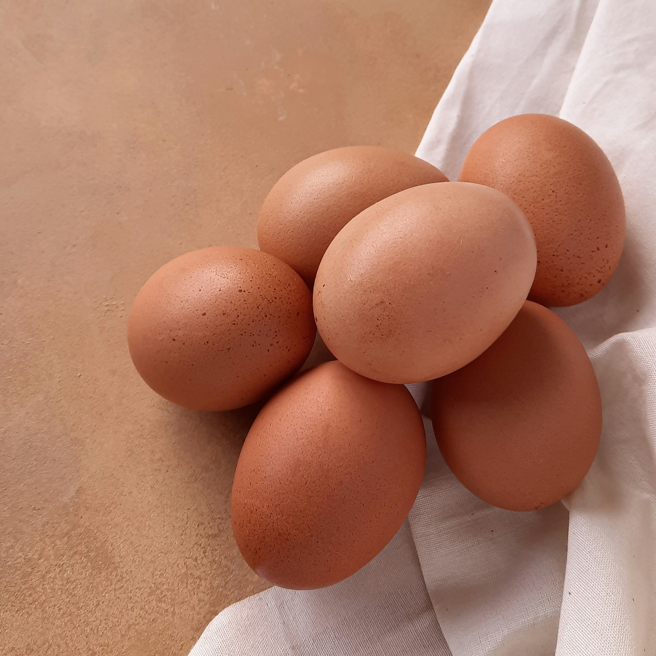 Huevos criollos orgánicos